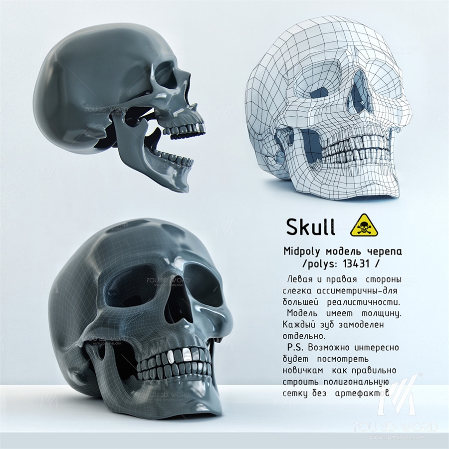 Skull
